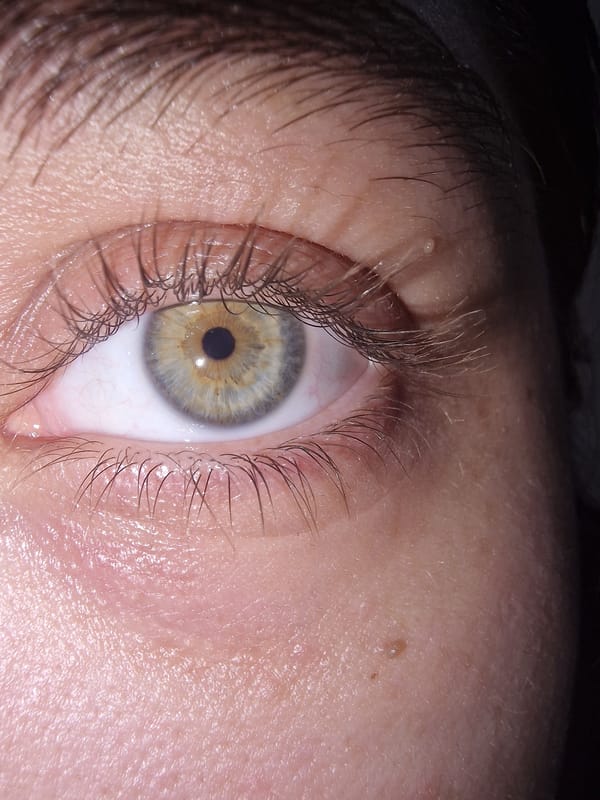 Close-up moments: eyes, flowers, coffee captured in 33-minute sequence