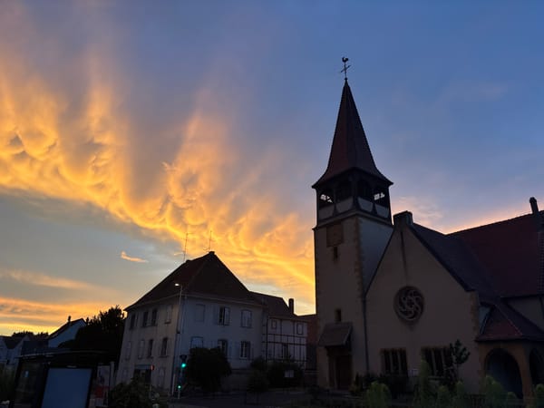 Storks and mammatus clouds over a summer evening in Alsace