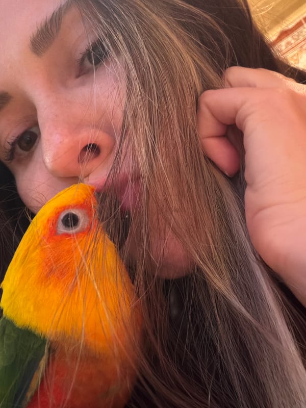Woman poses with colorful sun conure parrot in Khimki