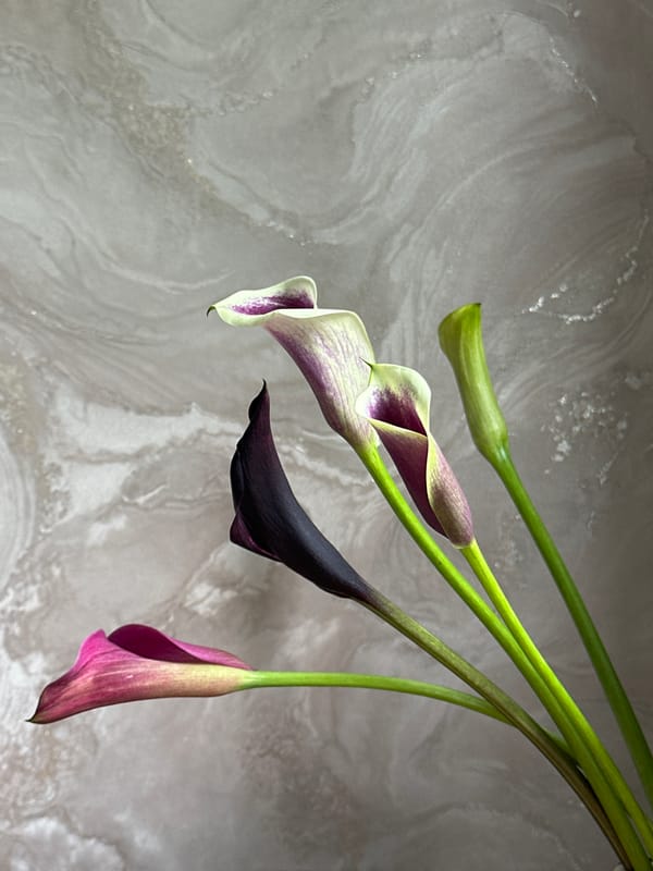Tabby cat and calla lily photo session with mirror selfie
