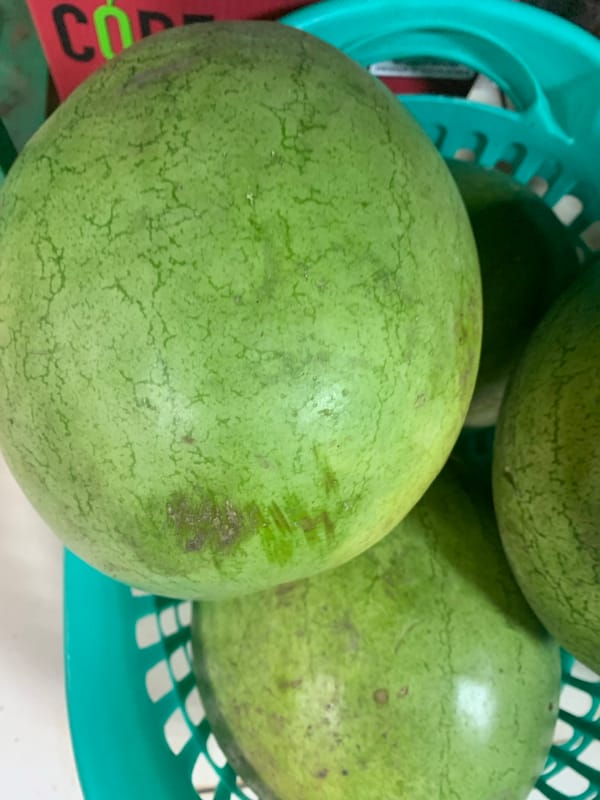 Witness Documents Grocery Store Inventory During Evening Shopping Period