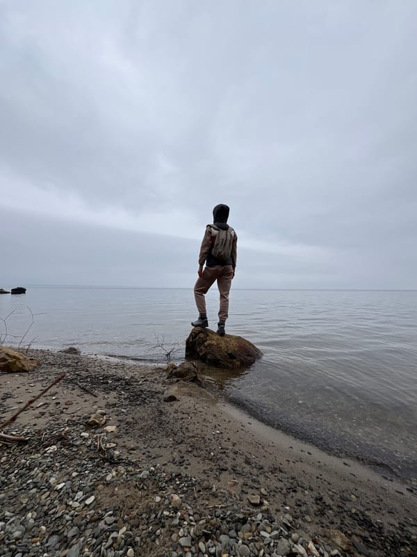 Person loses balance on log near Ulyanovsk riverbank