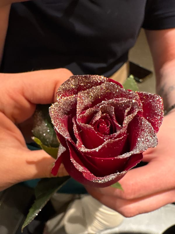 Glittered red rose held in Kragujevac cafe setting