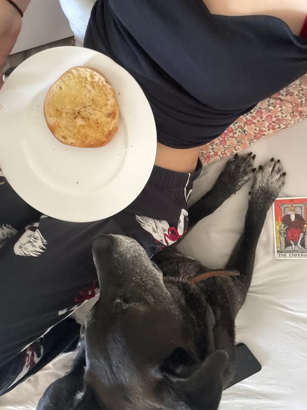 Person shares bed moment with dog, pastry in New York