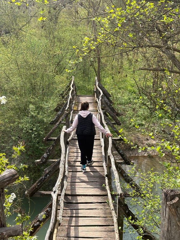 Morning scenes documented along wooded waterway near Lukovit, Bulgaria