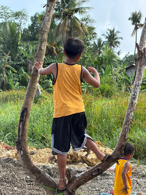 Children play on fallen tree after rain in General Luna