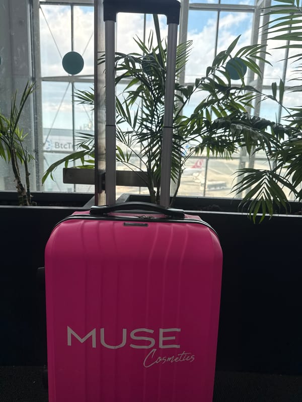 Pink cosmetics suitcase spotted beside palm plant in Turkey
