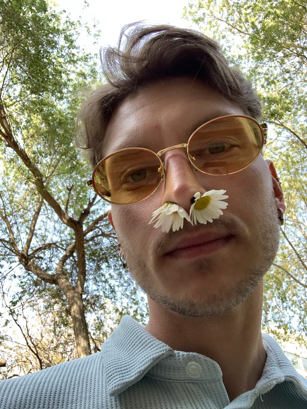 Casual moments captured in Tel Aviv: dogs, selfies