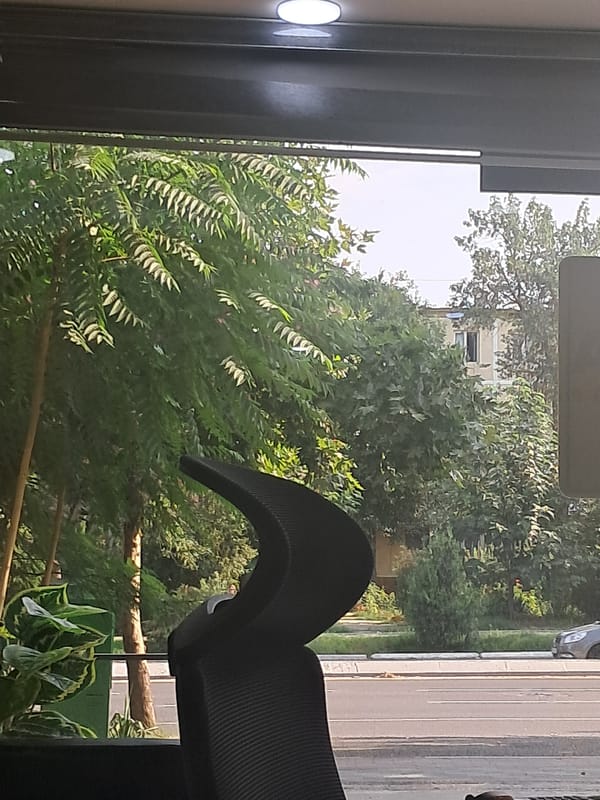 Tashkent workspace with aquarium fish and street view