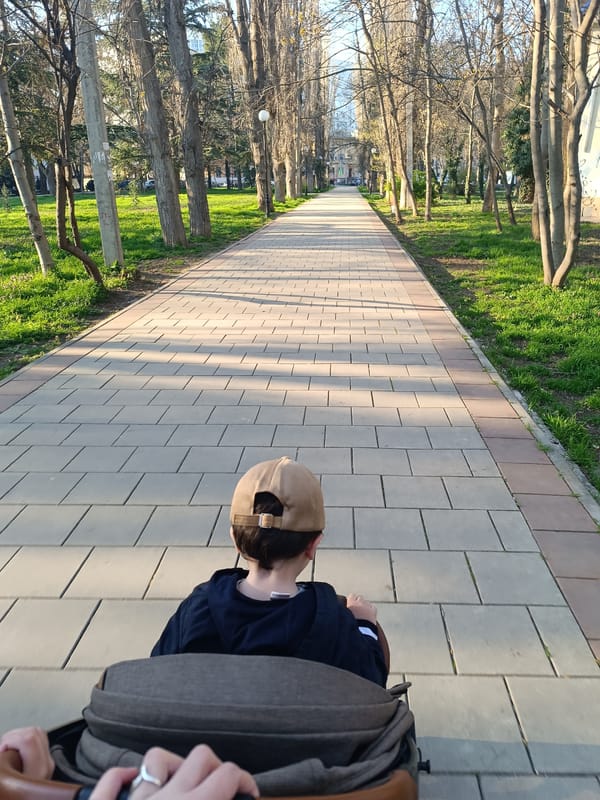 Parent pushes stroller along paved walkway in Simferopol
