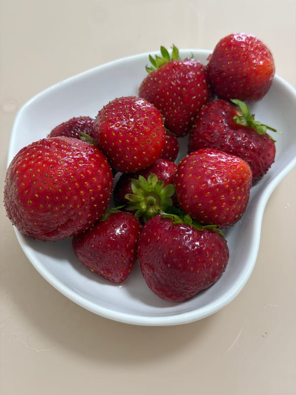 A slow morning at home in Izhevsk, indoors and out