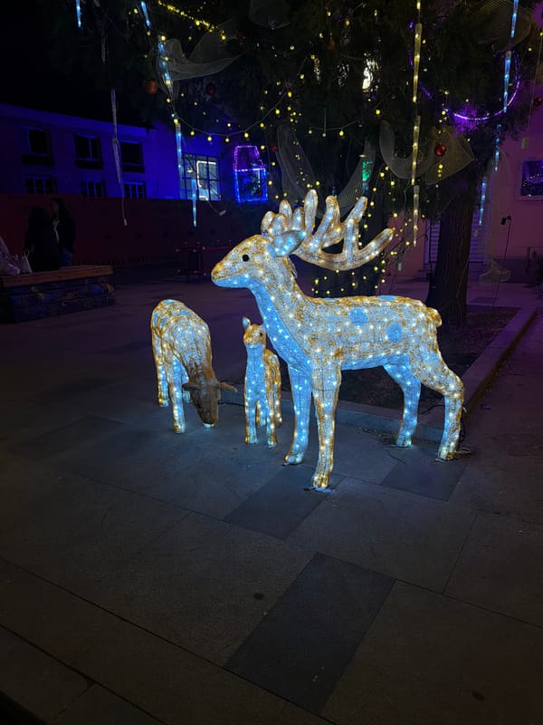 Holiday decorations and illuminated displays observed across Linghe, China