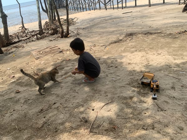 Family Beach Day Documented at Tanjung Limau Indonesia