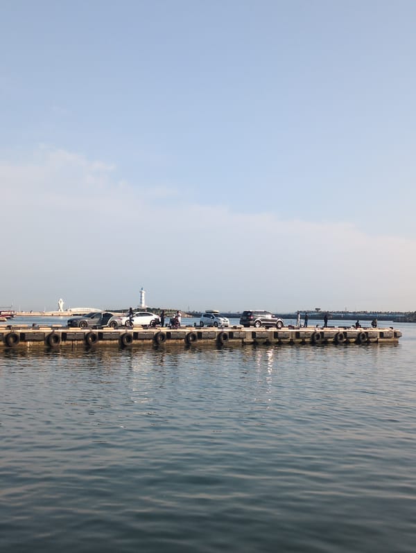 Morning fishing activity documented at Ulsan pier