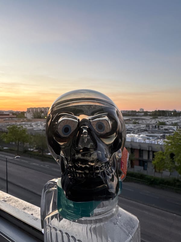 Skull and bear trinkets on a balcony as the city sunset burns out