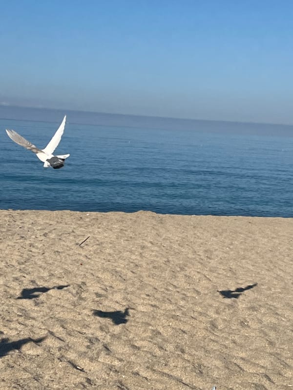 Morning beach scenes captured along Alanya Turkey coastline