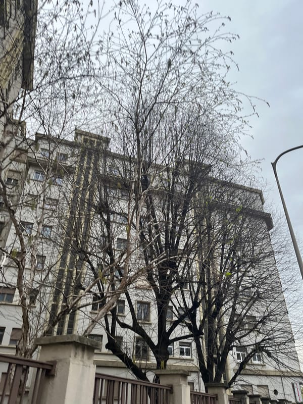Street scenes captured in Lyon on overcast March morning