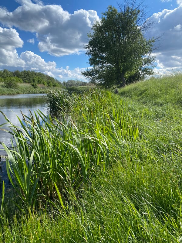 Peaceful waterway landscape documented in rural Ustyvytsia, Ukraine