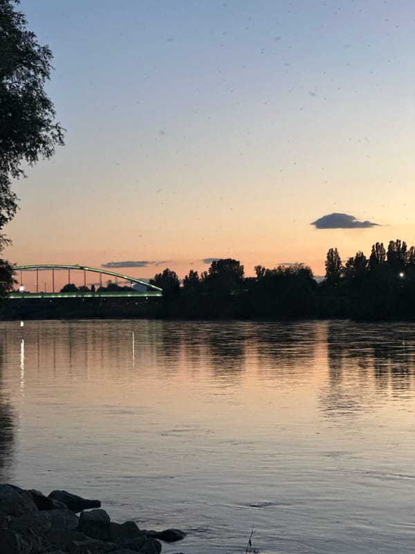 Person with face bandages photographed at Zagreb riverside during sunset