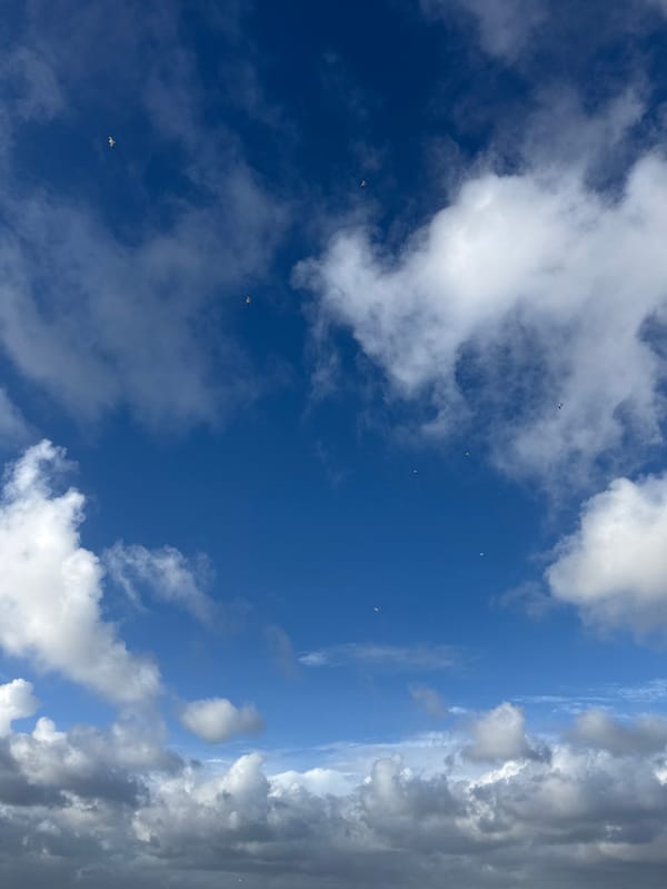 Afternoon coastal documentation captures Vila Nova de Gaia beach scenes