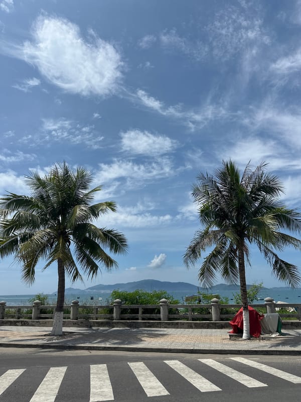 Coastal promenade with palm trees documented in Nha Trang