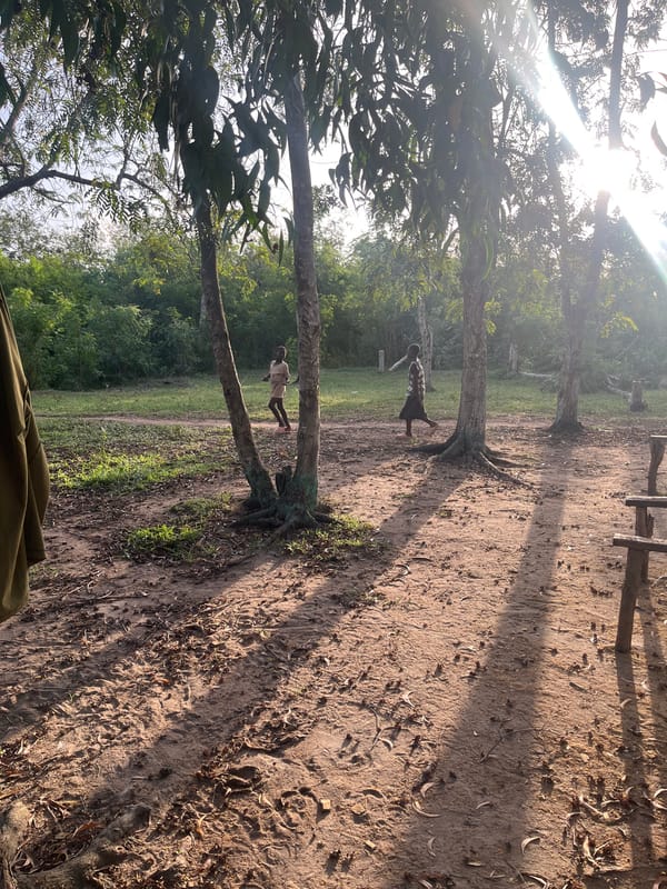 Rural children's daily activities documented in Joma, Ghana