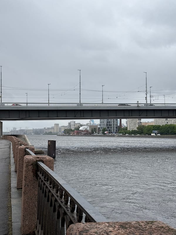 Rainy morning documented along Saint Petersburg's Neva River embankment