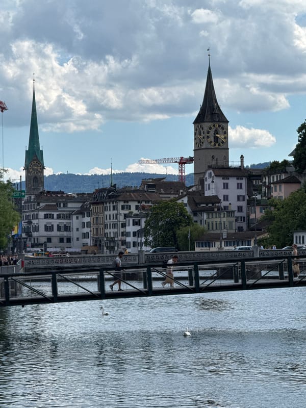 Afternoon on the Limmat: swans, spires, and river-life in Zurich