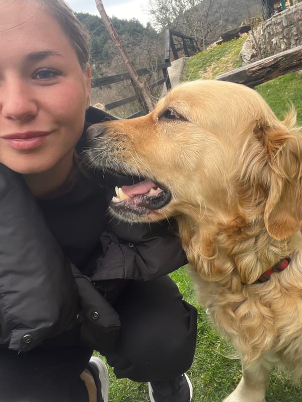 Spring day leisure activities captured across Krapina, Montenegro