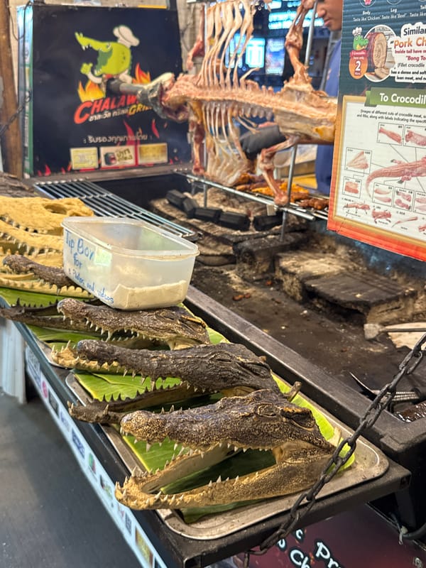 Crocodile street food stalls and night scenes near Pattaya Bazaar