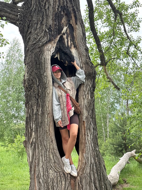 Woman poses inside hollow tree in Krasnoyarsk