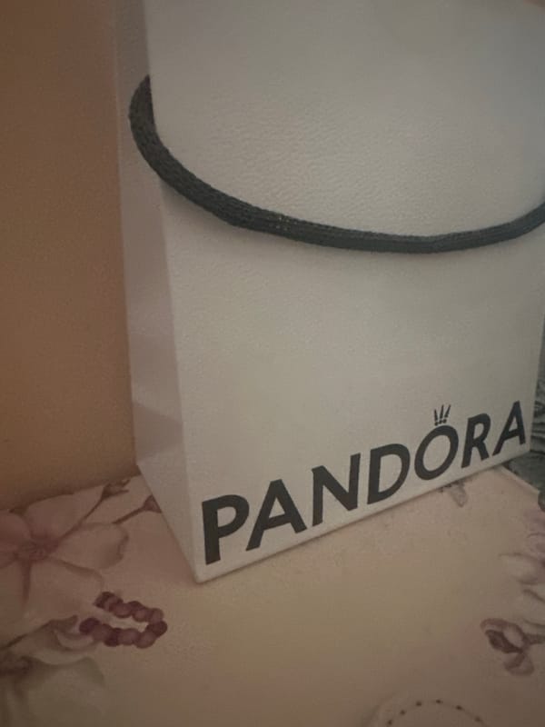 Sofia resident documents luxury retail items in brief shopping session
