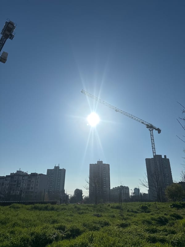 Urban park space observed near high-rise residential buildings