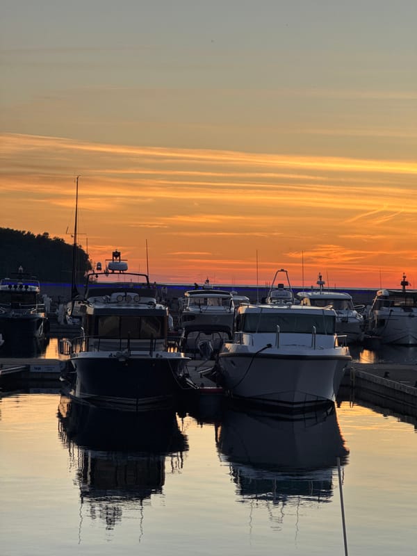 Tallinn marina at sunset, boats and walkers on a June evening