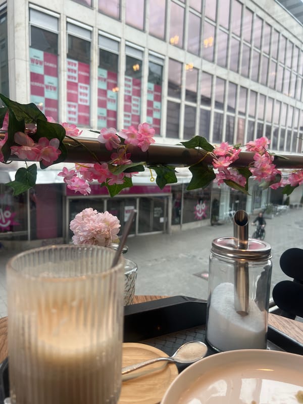 Quiet café moment captured in Nuremberg interior scene