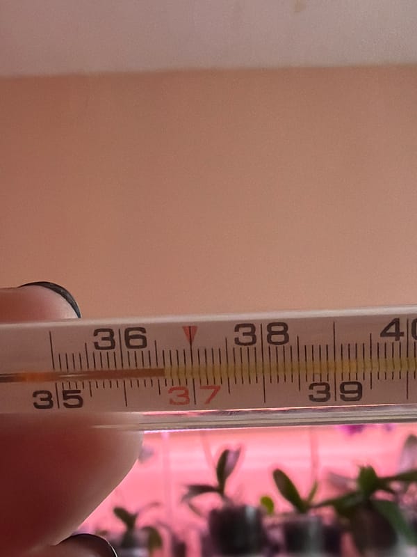 Temperature check and medication moment recorded in Chaikovsky