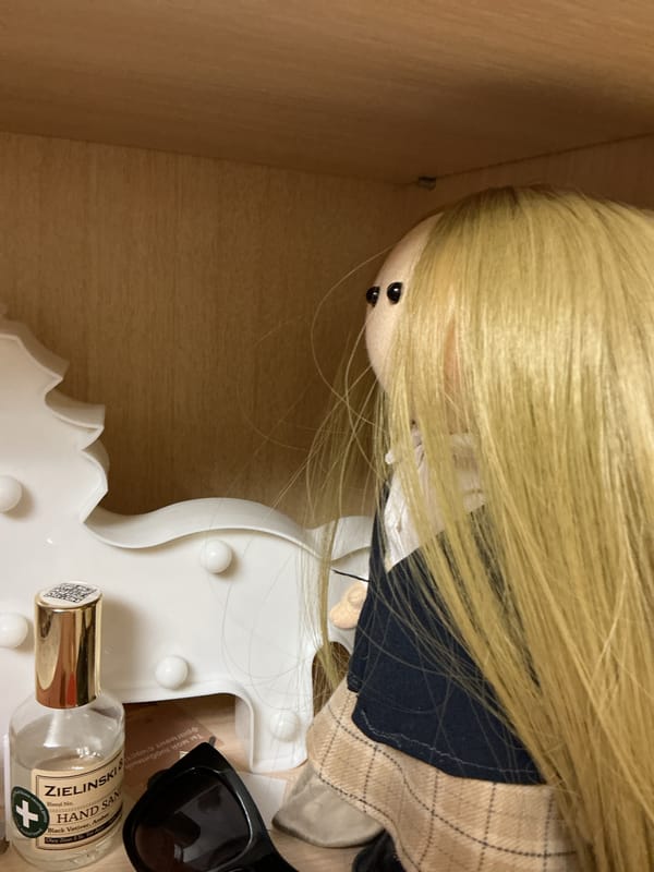Evening domestic documentation captures home displays and neighborhood views