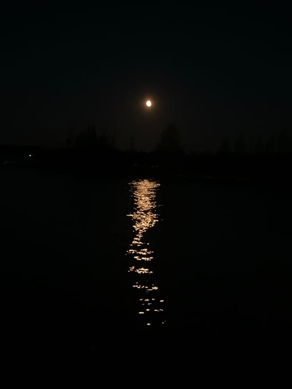 Moonlit evening on the Kama River, Chaikovsky