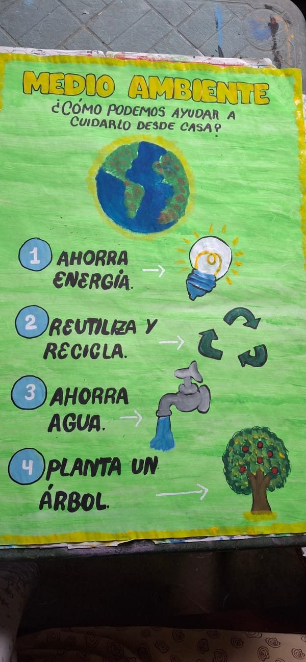 Homemade environmental poster documented in Venezuelan town