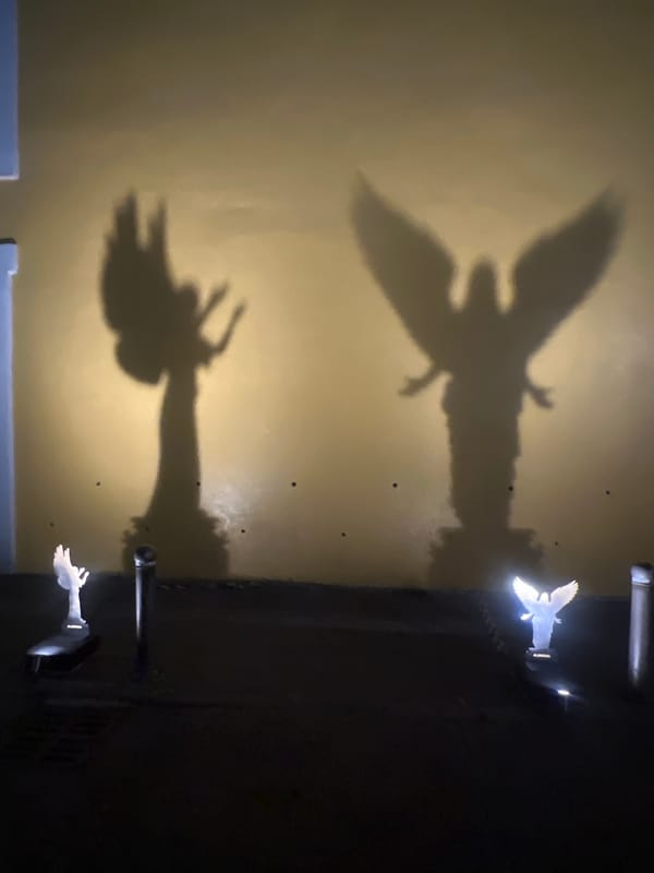 Day of Dead projections draw crowds to decorated building