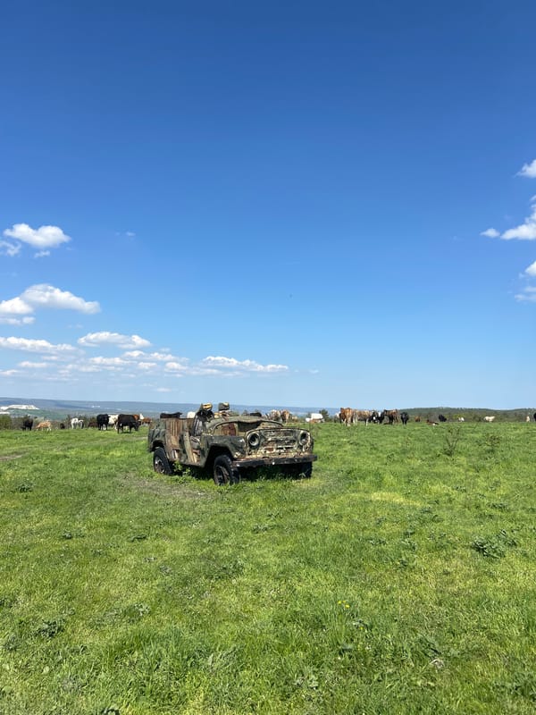 Rural Bulgaria scenes: pastoral field and rock formations documented