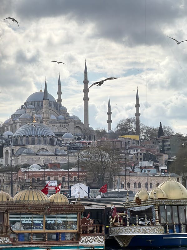 Istanbul residents document birds, landmarks, fishing during afternoon hours
