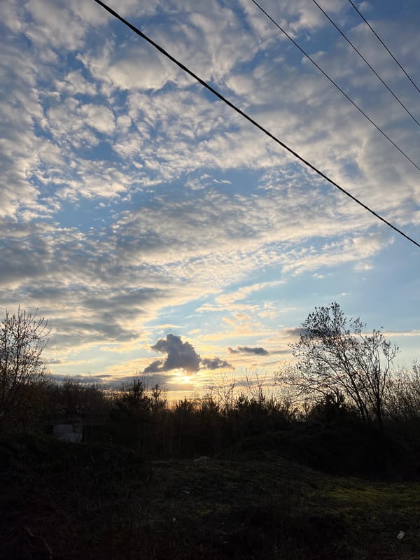 Afternoon moments captured in Russian countryside, Раздолье