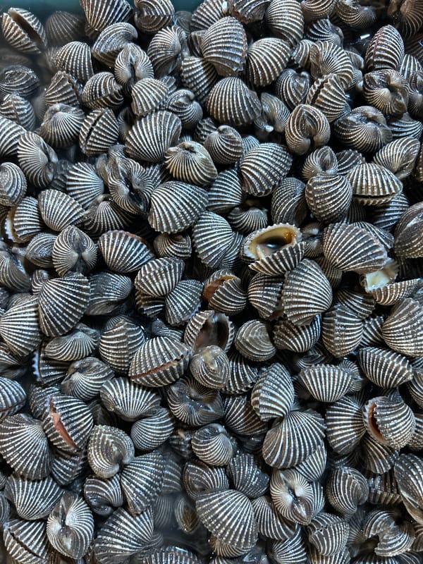 Inside a busy Kuta seafood market, live and fresh catch on display