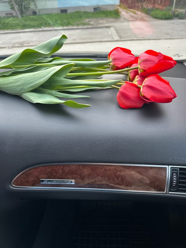 Red tulips placed on car dashboard in Bulgaria