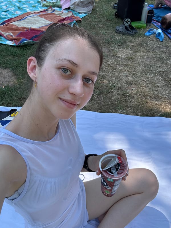 Sunny park picnic in Bürgstadt with drinks, snacks, and good vibes
