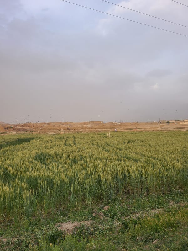 Rural Pakistan landscape documented in brief photographic sequence