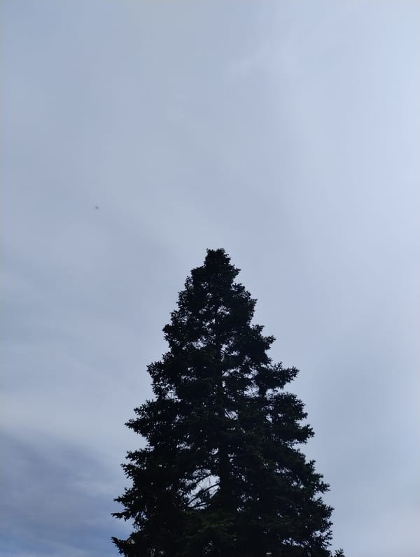 Afternoon walk documented through Yambol's parks and recreation areas
