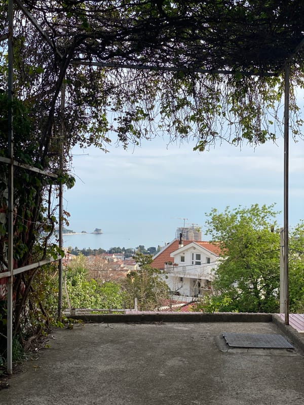 Elevated garden views documented from Budva balcony or rooftop