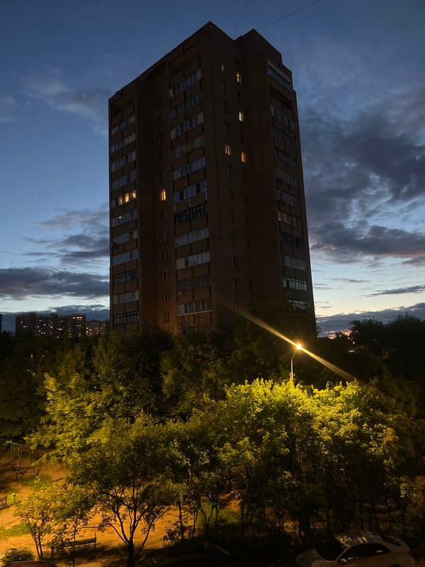 Dusk to night in Pushkino: apartments, pets, and a park